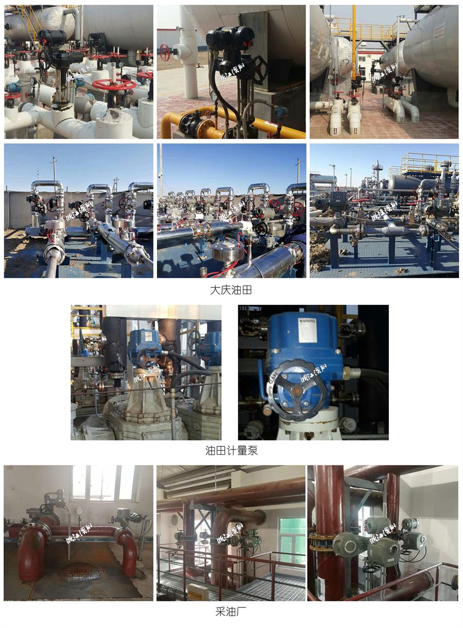 大(da)慶油田,油田計(ji)量泵,采油廠(chǎng)電(dian)動(dòng)球閥的(de)應用(yong)